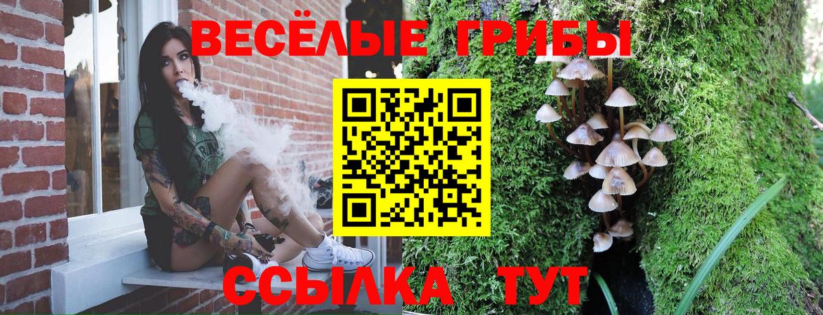 Галлюциногенные грибы прущие грибы Воскресенск