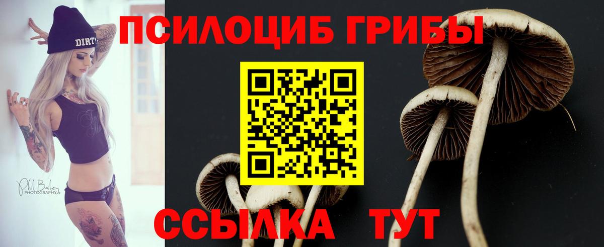 Воскресенск  Псилоцибиновые грибы Psilocybine cubensis  Вход с VPN  Галлюциногенные грибы мухоморы 